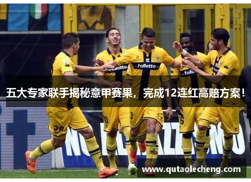 五大专家联手揭秘意甲赛果，完成12连红高赔方案！